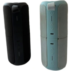 اسپیکر بلوتوثی قابل حمل پایونر مدل M500